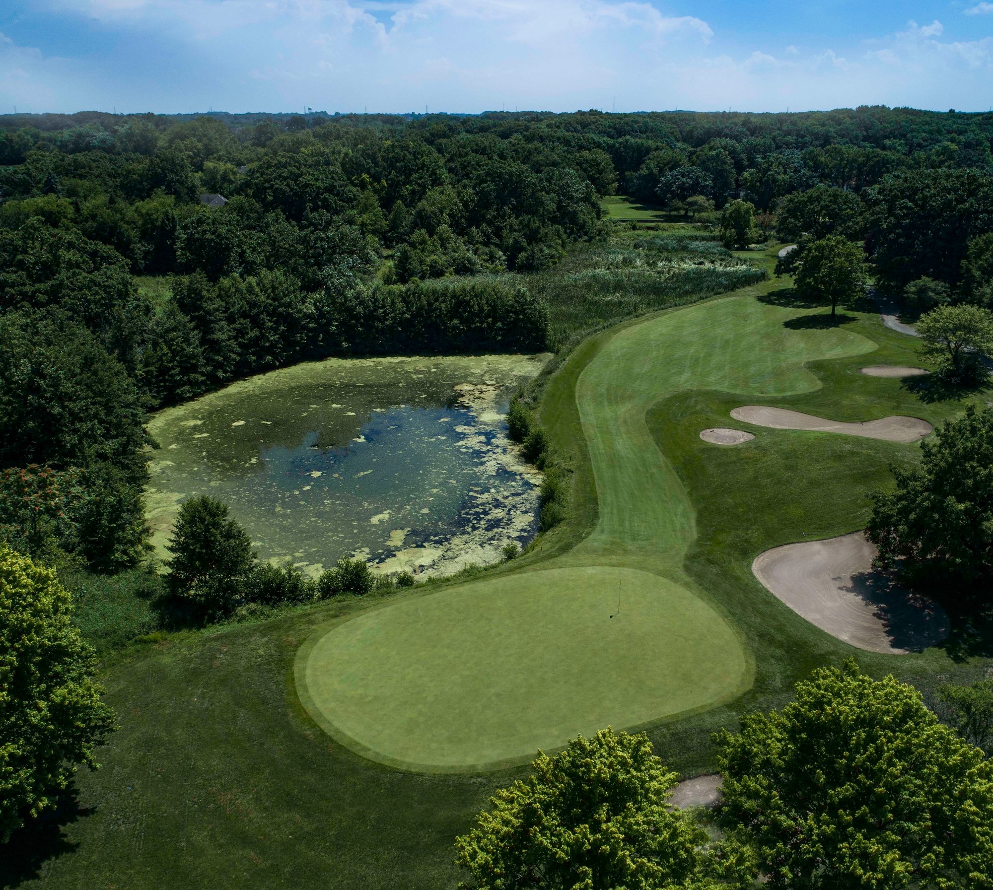 RuffledFeathersHole16DJI_0263