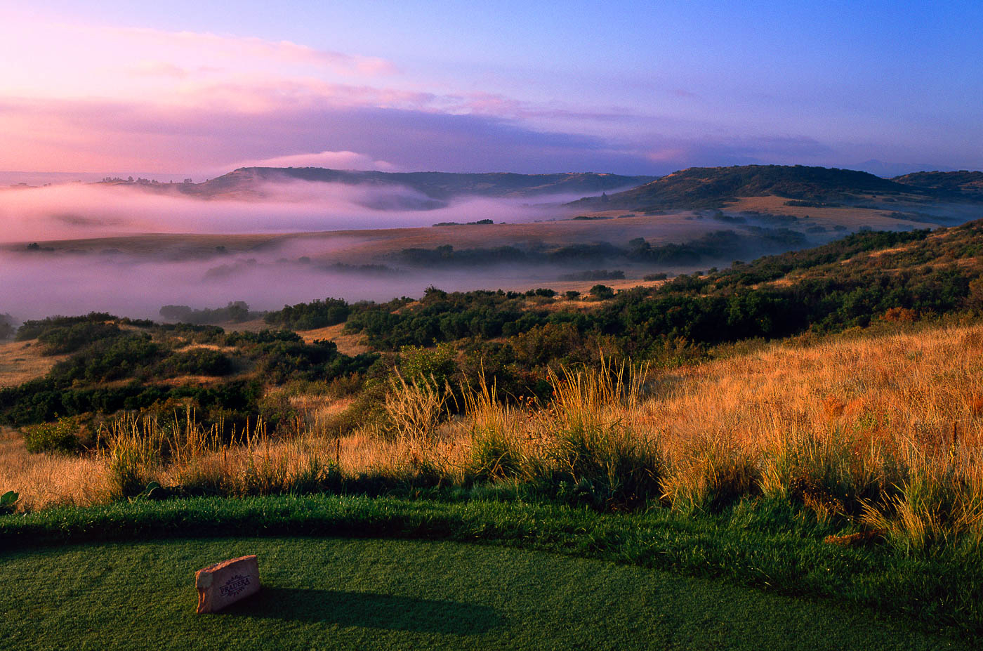 26f8897b-0651-4ae6-9c5a-5d5ad404e4c9-fog_New_3Print_45x56JPG-3