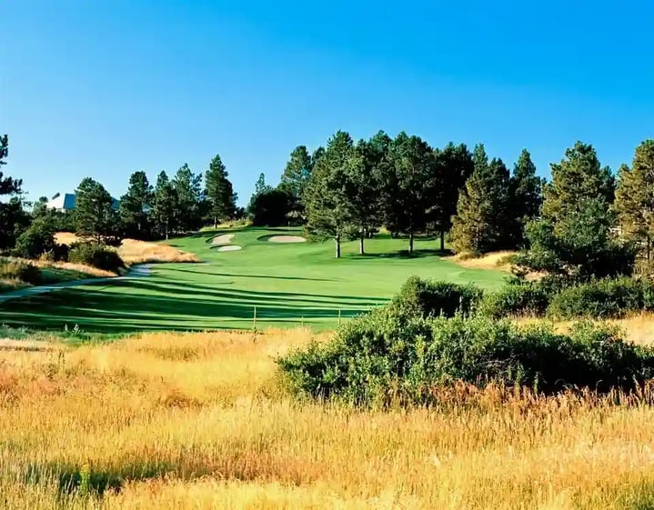 Pinery course scenery