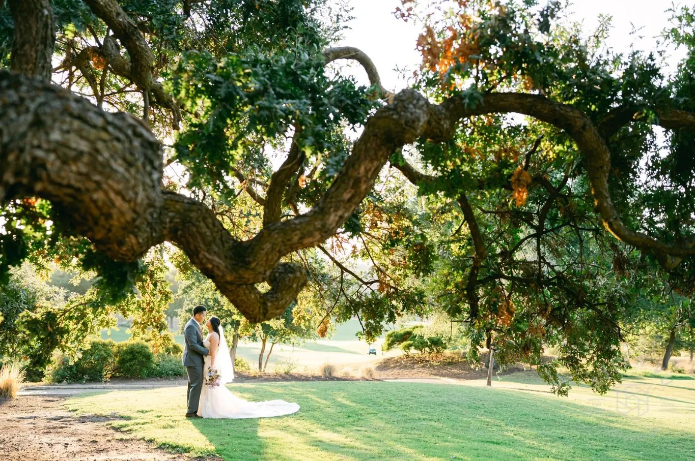 Ruby_Hill_outdoor_under_tree