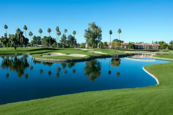 Clubs at Arrowhead Palm Trees and Water