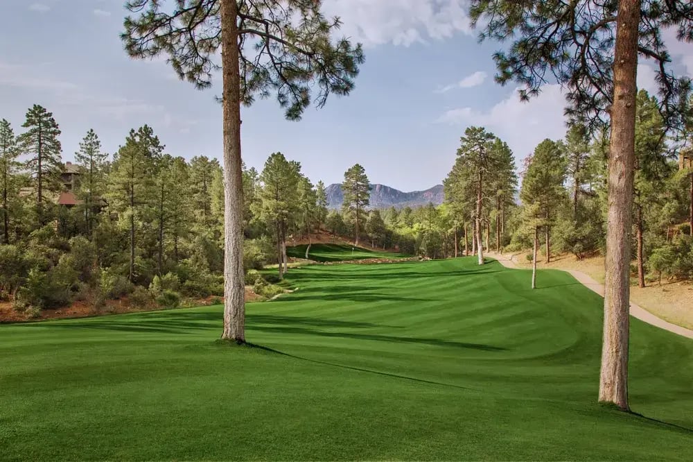 Chaparral Pines Greens with Mountain View