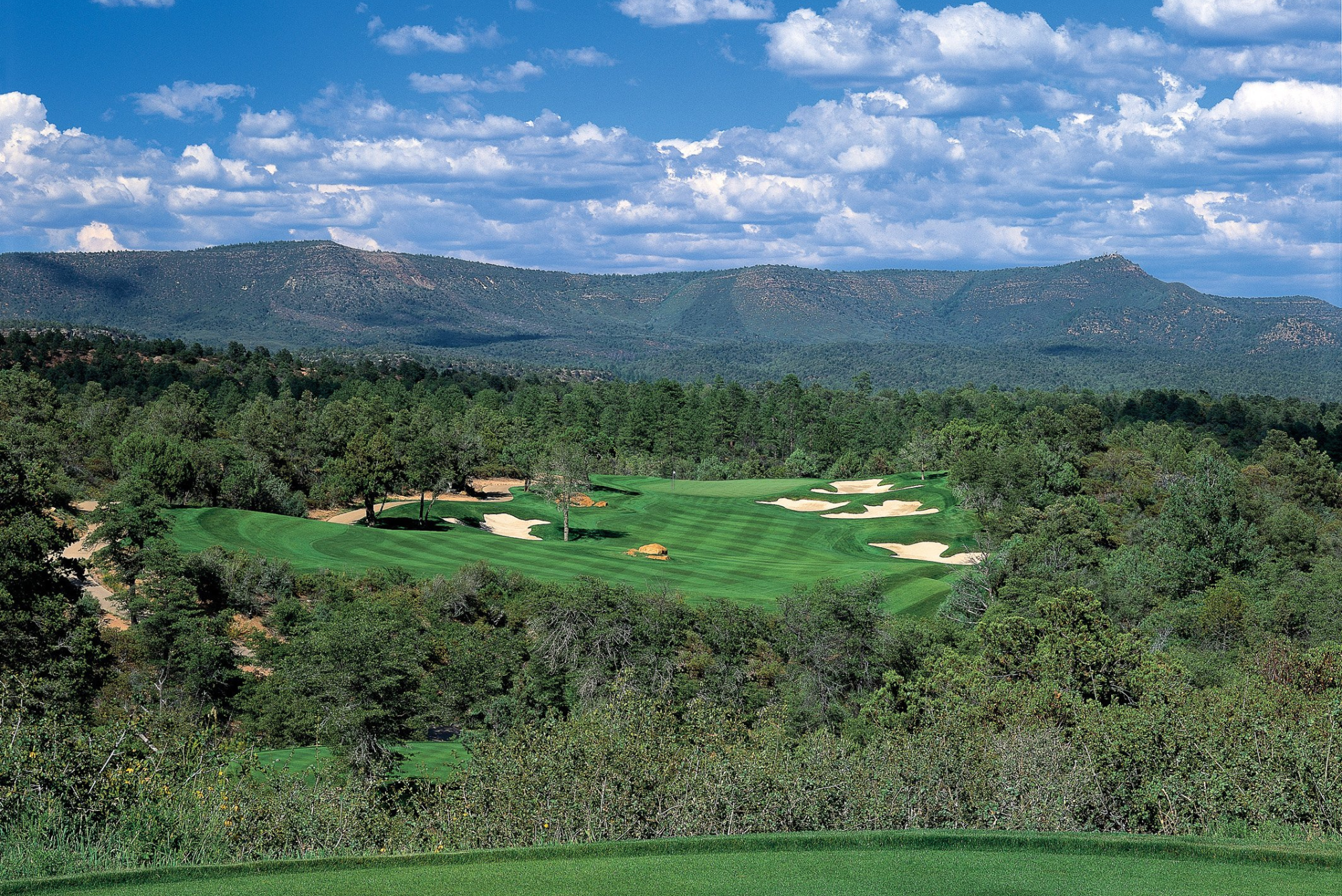 chap pines golf edit