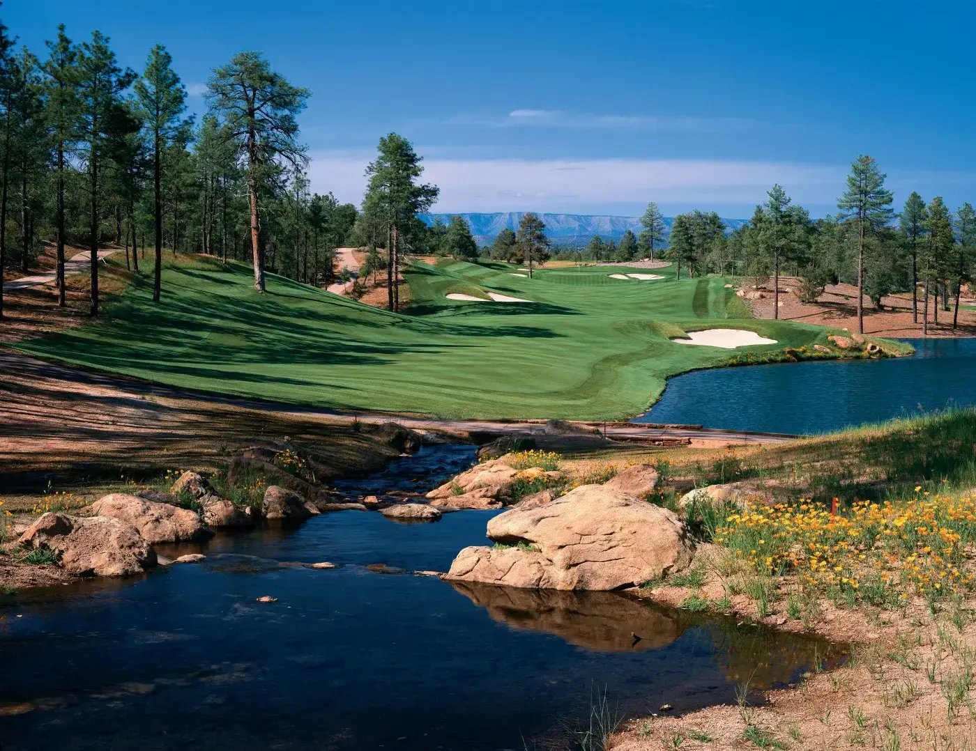 Rim Greens by Water