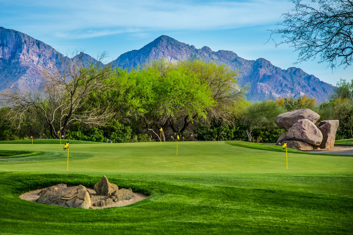 6187ea75-4efe-46d3-a444-b46ca911a650-putting_green