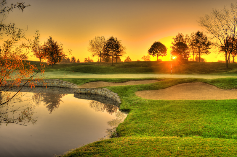 590a445c-46b4-497e-a816-d879dc14c35c-364_20161106_fourbridges_fallsharp