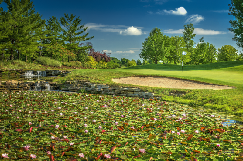 7a10dcbf-b89a-429f-b29b-4e6192931c56-560_20160628_four_bridgessharp