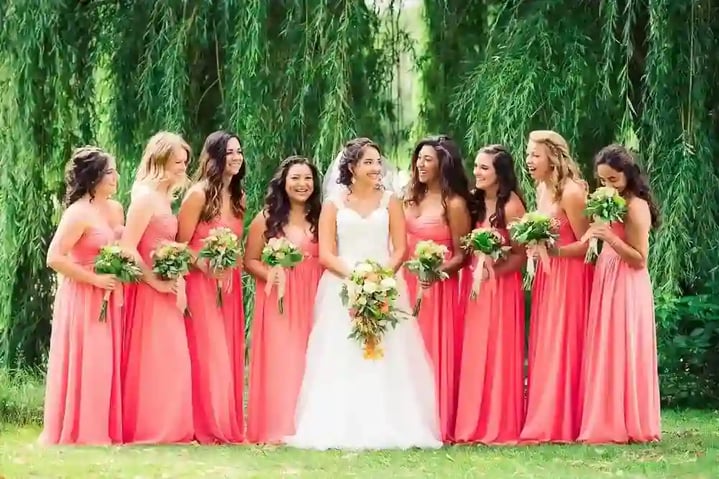 Majestic Oaks wedding party
