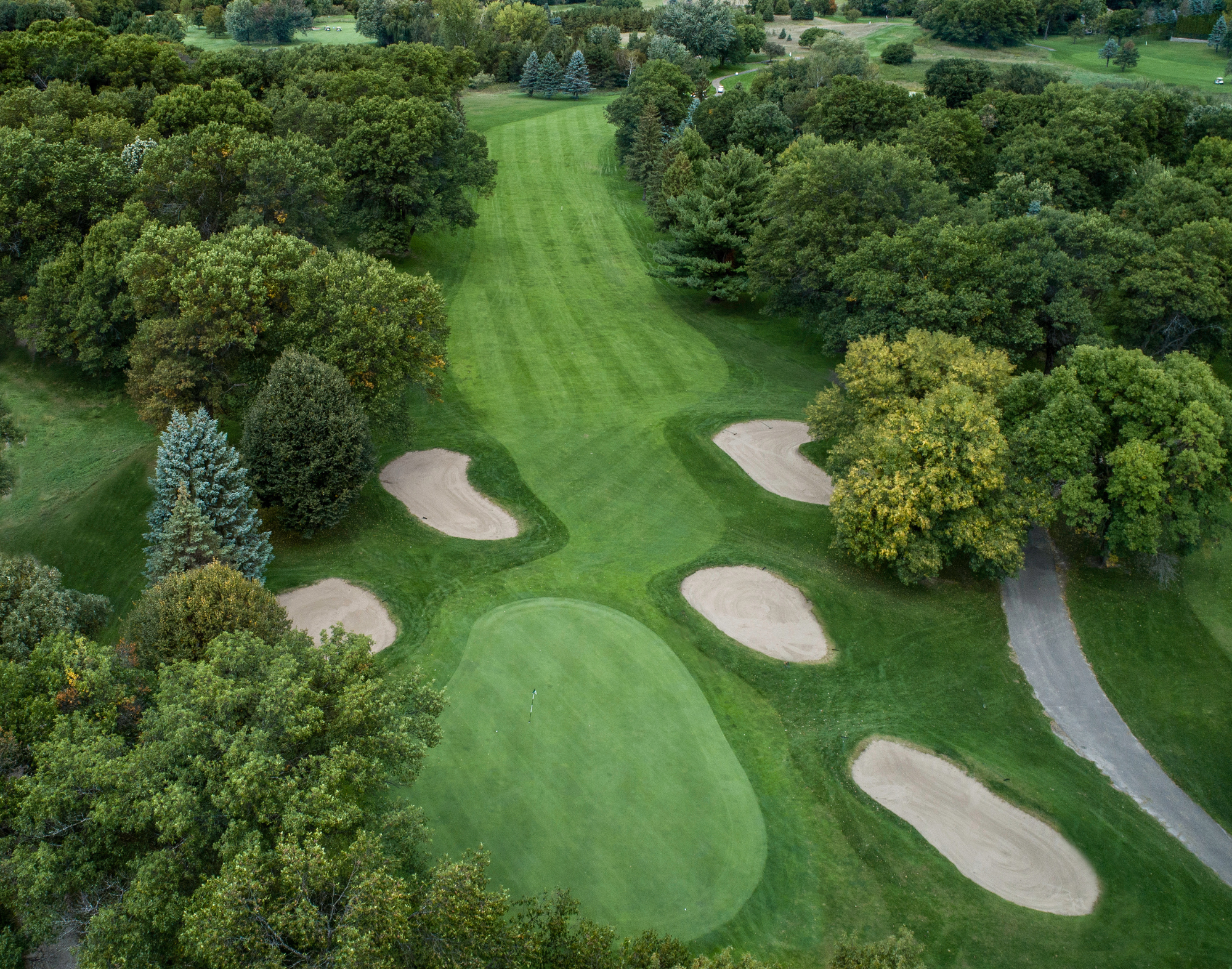 majestic oaks course 5 resized