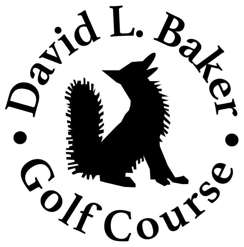 david-l-baker-logo-black-stacked