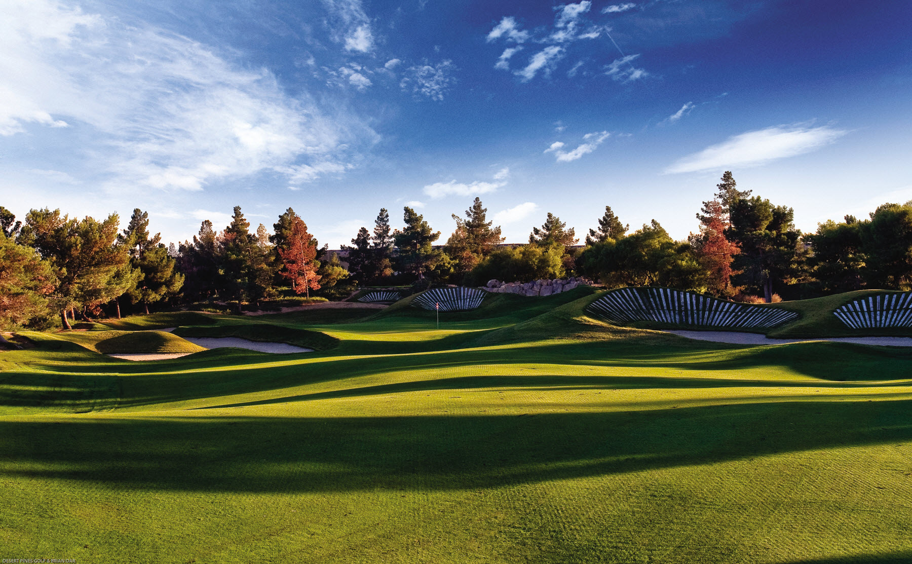 DP 12 Fairway