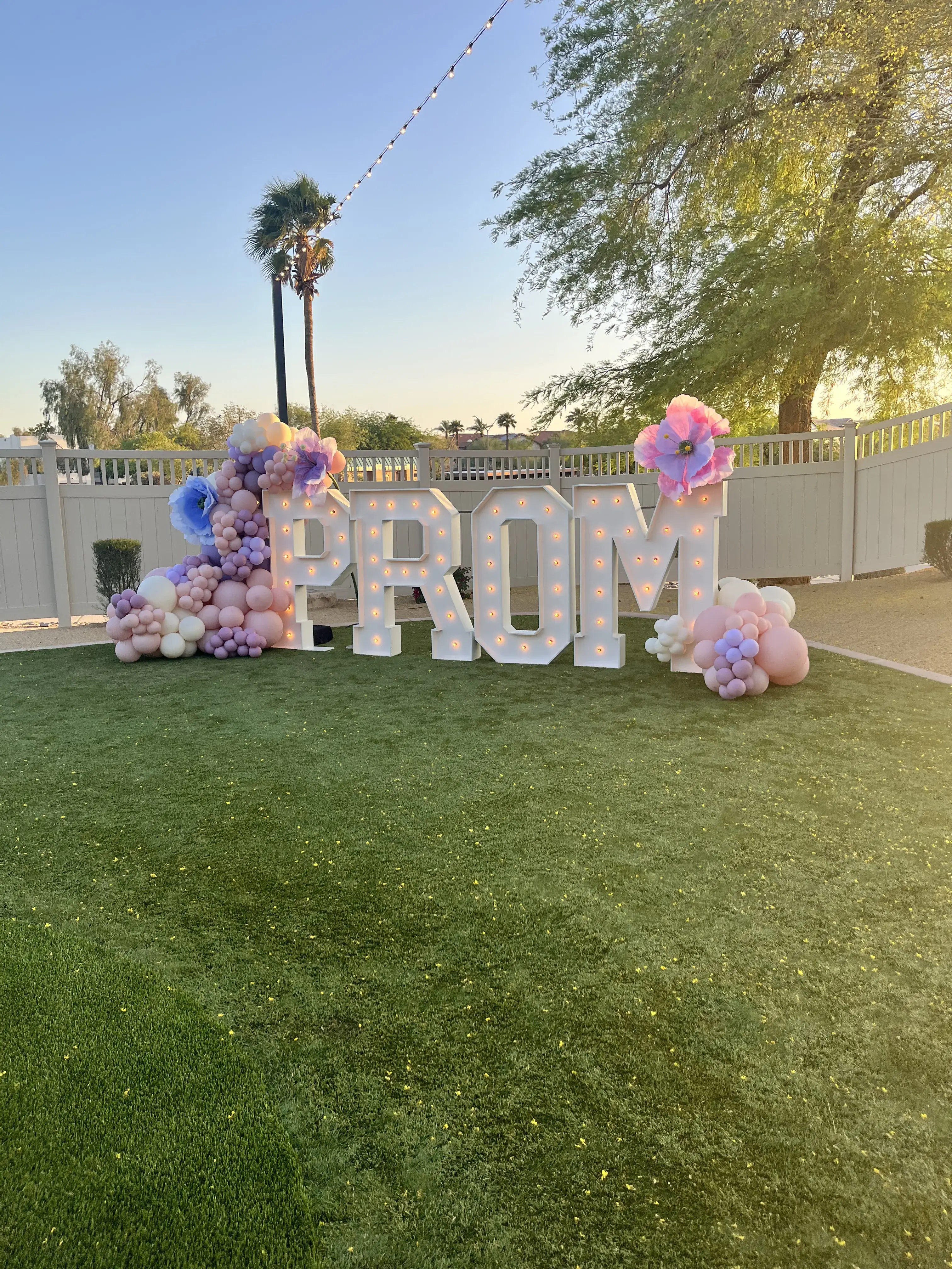 Palm_Valley_Prom